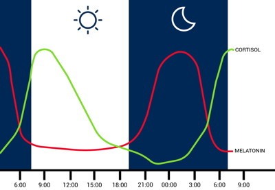 melatonine cortisol ritme