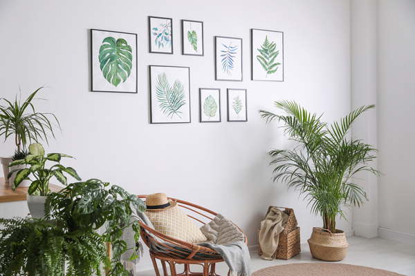 stressreductie planten