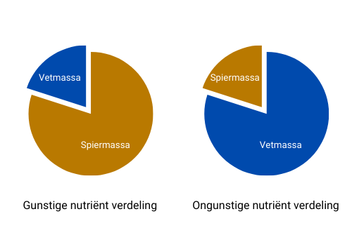 nutriënt verdeling2